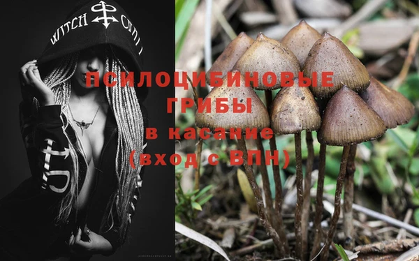 молекула духа Киренск