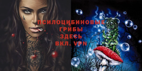 герыч Кинешма