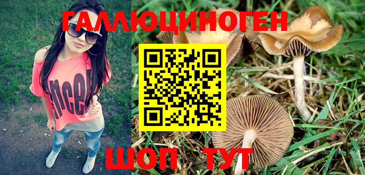 Галлюциногенные грибы MAGIC MUSHROOMS  Псилоцибиновые грибы GOLDEN TEACHER  Михайловка  Вход с VPN 
